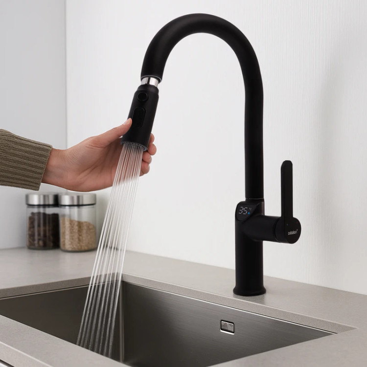 طراحی مدرن شیر ظرفشویی دیکالان شاوری در آشپزخانه