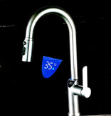 طراحی مدرن شیر ظرفشویی دیکالان شاوری در آشپزخانه